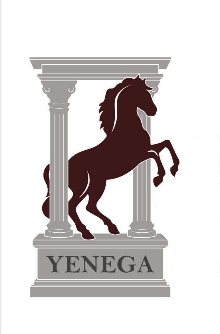 YENEGA OTOMOTİV