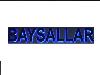 S.BAYSAL OTOMOTİV