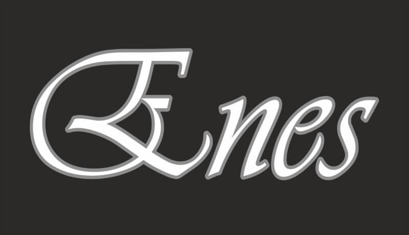 ENES MOTORS