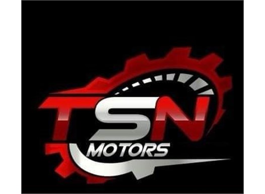 TSN Motors