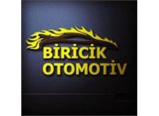 BİRİCİK OTOMOTİV-ŞEYHMUS BİRİCİK